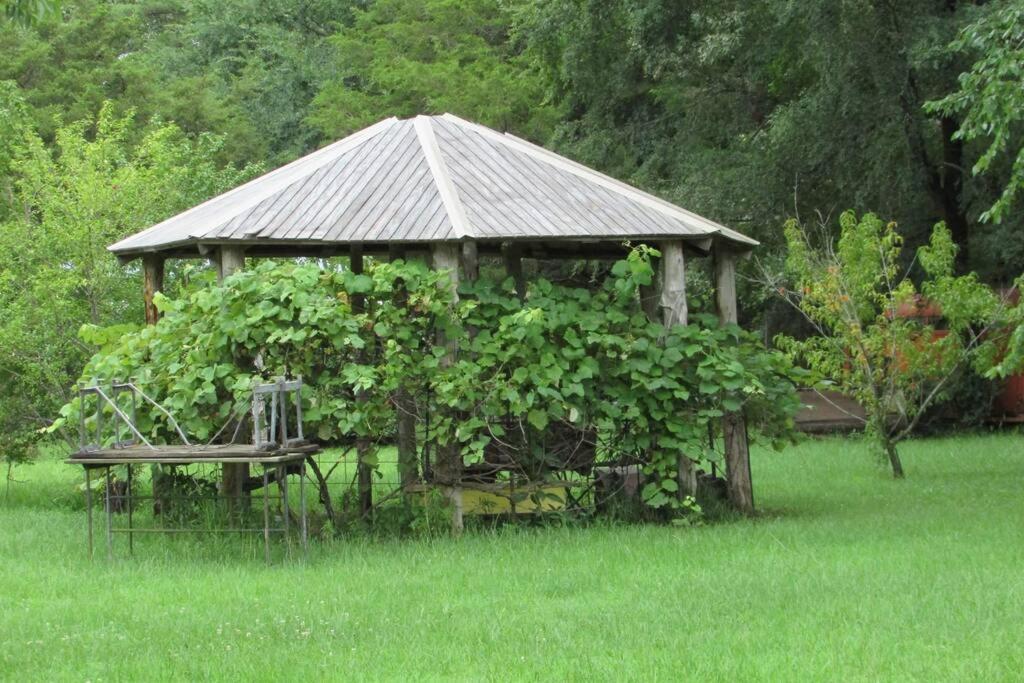 BerryBramble Cottage Talihina Exteriör bild